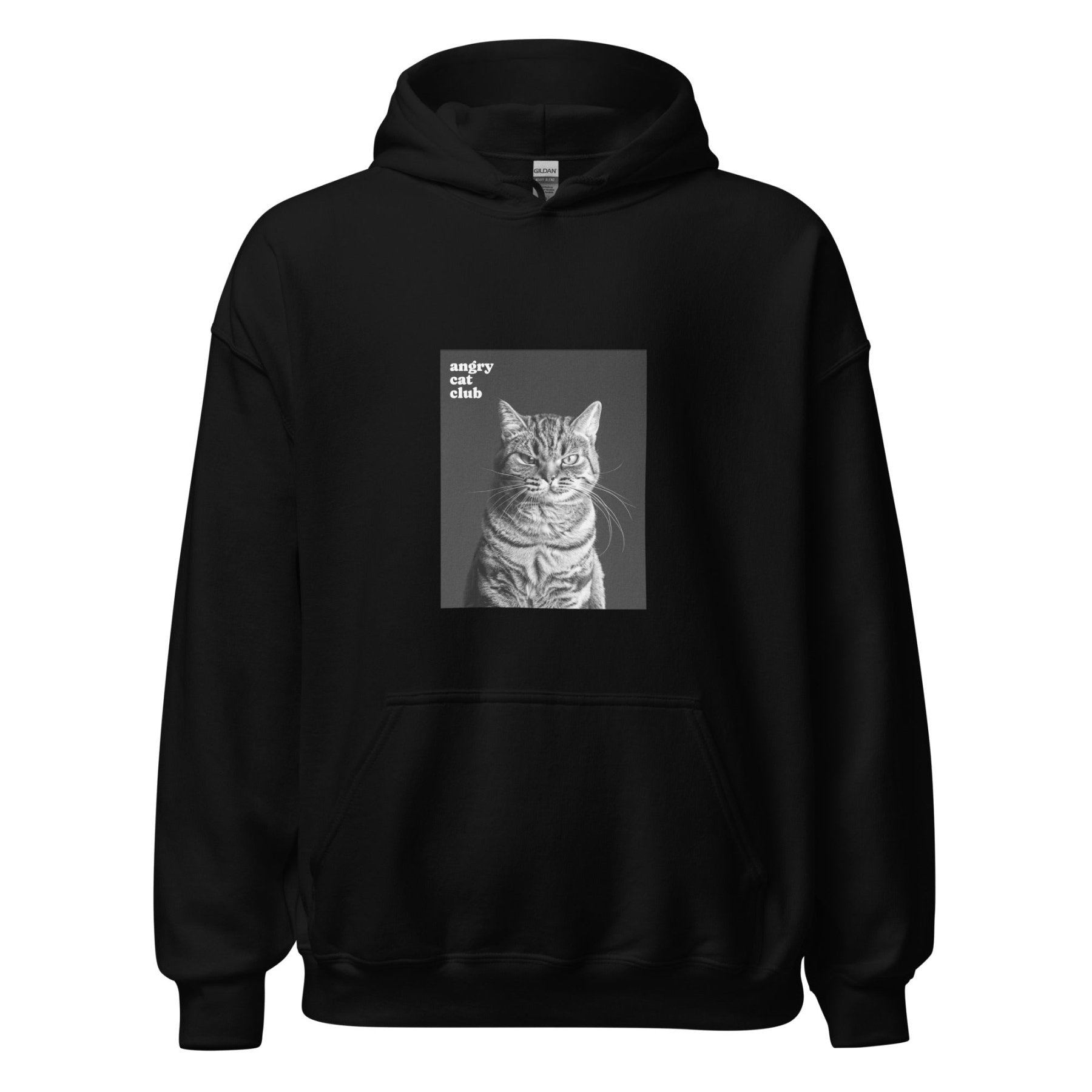 LUDWIG THE CAT Hoodie - Astro Fckrs